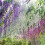 Wisteria Flower Garland Artificial 6 pcs 4