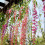 Wisteria Flower Garland Artificial 6 pcs 5