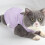 Leaveforme cat recovery vest breathable elastic soft 4