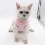 Leaveforme cat recovery vest breathable elastic soft 3