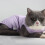 Leaveforme cat recovery vest breathable elastic soft 7