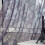 Flower Sheer Curtain Tulle Voile Valance 1 Panel 3