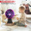 Plasma Ball Lamp Touch Sound Sensitive 8 Inch Red 4