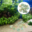 Aquarium conch decorations 10 pcs 3