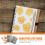 Embossing Folders Plastic Flower Templates 5 pcs 5