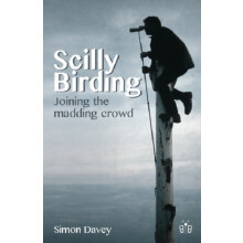 Scilly Birding by Simon Davey Paperback Book
