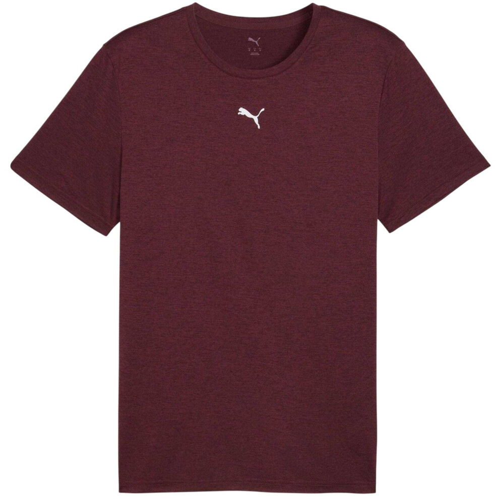Puma (S, Burgundy) Mens Tad Performance Gym T-Shirt