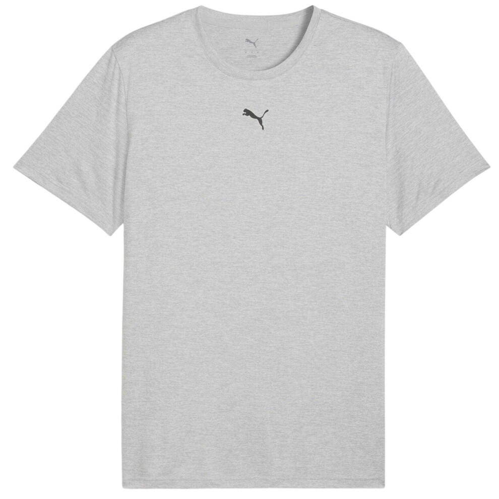 Puma (M, Grey) Mens Tad Performance Gym T-Shirt