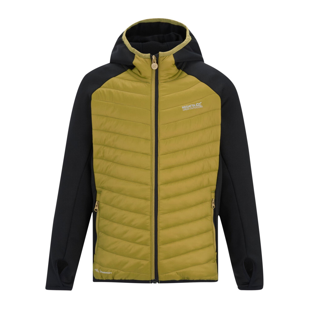 Regatta (6-7 Years, Black/Wood Brown) Childrens/Kids Andreson Hybrid Padded Jacket