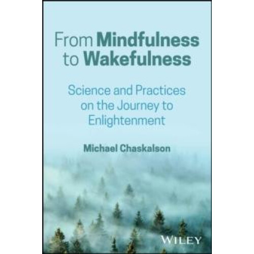 From Mindfulness to Wakefulness by Chaskalson Michael Bangor Universit