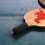 Table Tennis Racket Handle Overgrip Plastic Sleeve 5