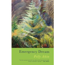 Emergency Dream by Polly Atkin Paperback Book