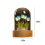 DIY Tulip Night Light Kit ABS Red Blue 1 Set 3