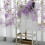 Miyuadkai sheer voile curtain panel purple one size 8