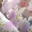 Flower Sheer Curtain Tulle Voile Valance 1 Panel 5
