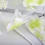 Sheer Flower Curtain Panels Embroidered Voile 2-Pack 3