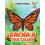 Raynas True Colors by Karen OMeara Paperback Book 1