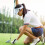 Golf Ball Scorer Portable Device 4 Pack 4