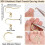Stainless Steel Hypoallergenic Earring Hooks 100 pcs 8