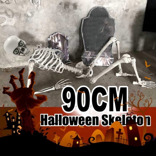 Life-Size Posable Halloween Skeleton Prop with Anatomy 2