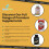 NutriVolv Turmeric Curcumin 1000mg (120 Capsules ) 7