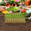 Garden Rock Wool Nutrient Blocks for Plants 100 pcs 6