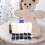 Doll Craft Eyes Safety Plastic 142 Pcs 3
