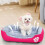Rectangle Dog Bed Medium Size Washable Orthopedic Anti-Slip 4