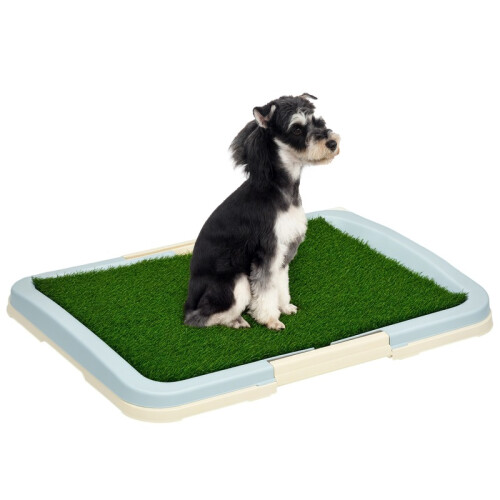 Banheiro multicolorido para cães com grama artificial e bandeja.
