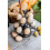 Iron egg rack for kitchen with 12 egg slots 2