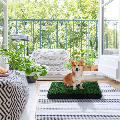 Banheiro ecológico para cães com grama artificial e bandeja lavável. 2