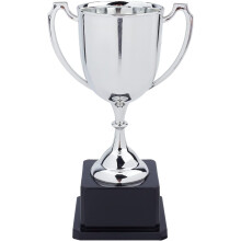 Trophy Cup Plastic Silver 7.4 Inch Round Base