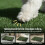 Banheiro verde para cães com grama artificial, 63 cm 6