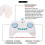 RC Robot 2.4G Radio Remote Control with Sound Gesture Induction 3