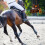 Ακρυλικό μενταγιόν σέλας Horse Lover, εξατομικευμένο 3
