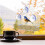 Round Bird Feeder with Suction Cup and Hanging Hook 5