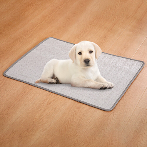 Pet Blanket Soft Non-slip Summer Sleeping Cushion 2