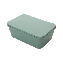 Tragbare, auslaufsichere Lunchbox mit Deckel (1 Stück)