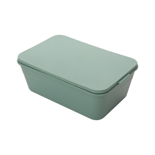 Tragbare, auslaufsichere Lunchbox mit Deckel (1 Stück)
