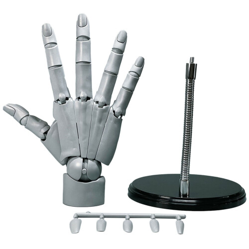 Giyblacko Hand Model with Movable Finger Joints 1