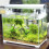 Digital aquarium thermometer stick-on for freshwater mini 4