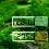 Digital Aquarium Thermometer Stick-On for Freshwater Mini 6