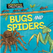 Dangerous Creatures Bugs and Spiders by Lynn HugginsCooper Hardcover B