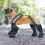 Jacenvly Dog Suspender Boots Waterproof Dirt-Resistant Size 3