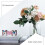 Letter stencil resin silicone mold white crystal 2