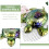 Turtle Stencil Silicone Mold for DIY Crafts 2