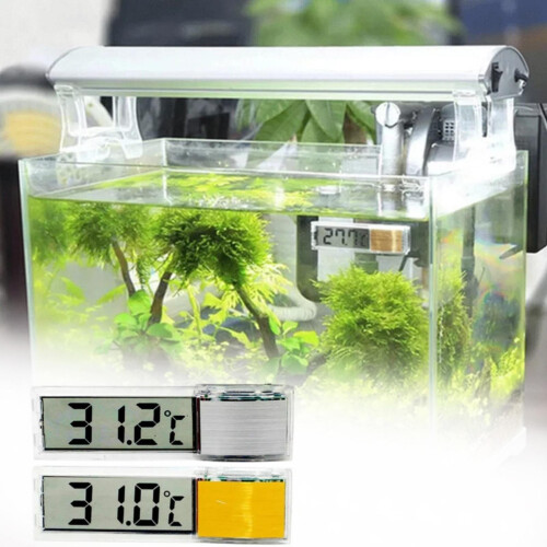 Digital aquarium thermometer stick-on for freshwater mini
