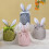 Easter candy bag bunny ears design 1 piece 7