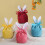 Easter candy bag bunny ears design 1 piece 8