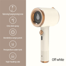 Portable Steam Iron for Travel and Home Use
